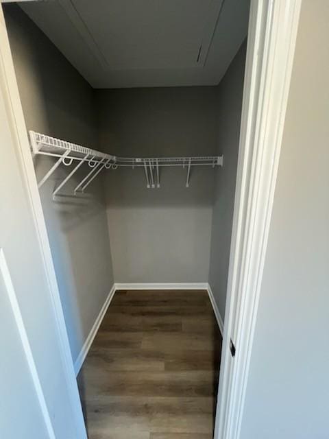 spacious closet with dark hardwood / wood-style flooring