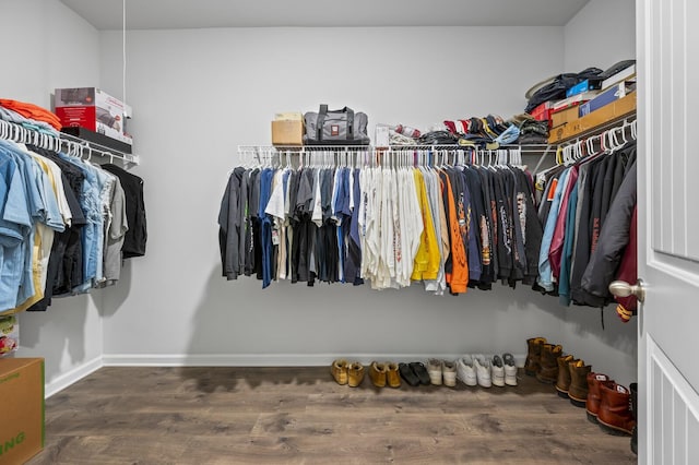 spacious closet featuring wood-type flooring