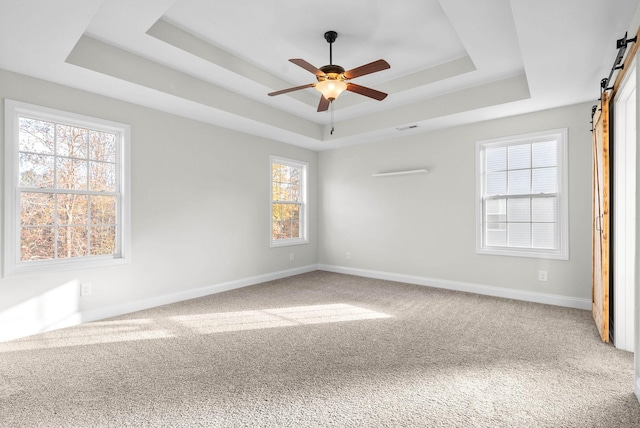 unfurnished room featuring a tray ceiling, a barn door, and a healthy amount of sunlight