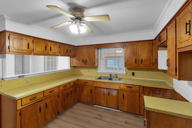 kitchen featuring crown molding, sink, ceiling fan, and light hardwood / wood-style flooring