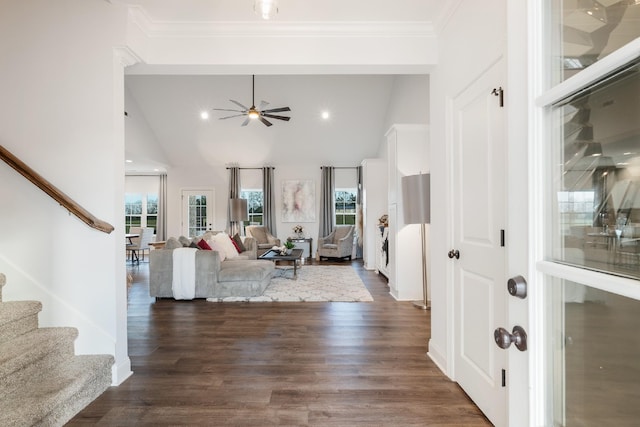 living room with ceiling fan, dark hardwood / wood-style flooring, high vaulted ceiling, and ornamental molding