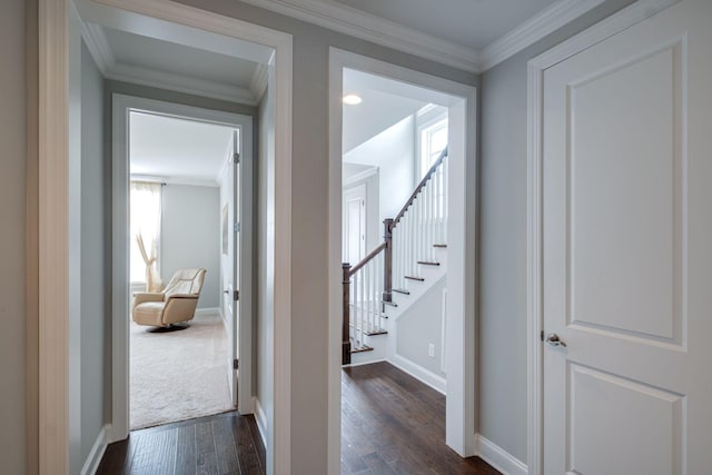 hallway with plenty of natural light, dark hardwood / wood-style flooring, and crown molding