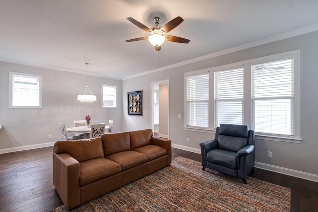 living room featuring dark hardwood / wood-style flooring, ceiling fan, and crown molding