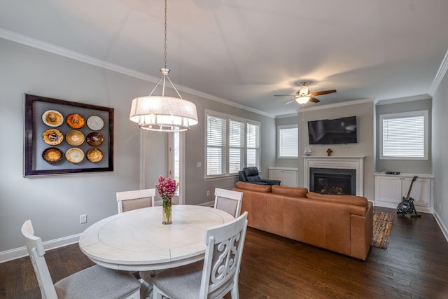 dining room with dark hardwood / wood-style flooring, ceiling fan, and crown molding