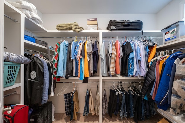 walk in closet with carpet floors