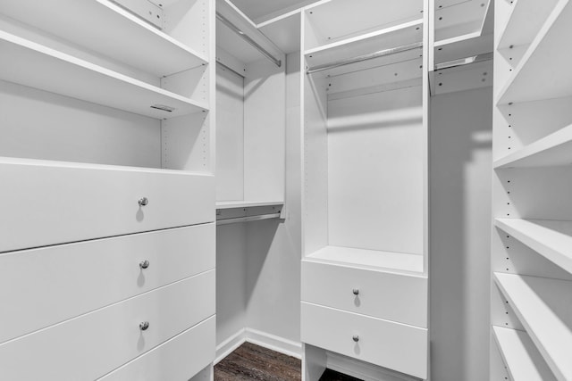 spacious closet featuring dark wood-type flooring