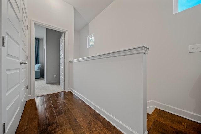 corridor featuring a wealth of natural light and hardwood / wood-style floors