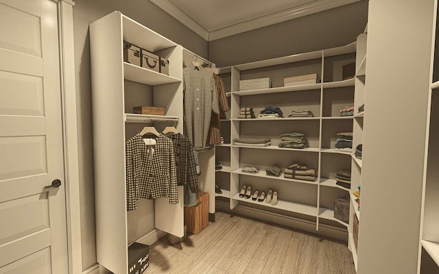 spacious closet featuring light wood-type flooring