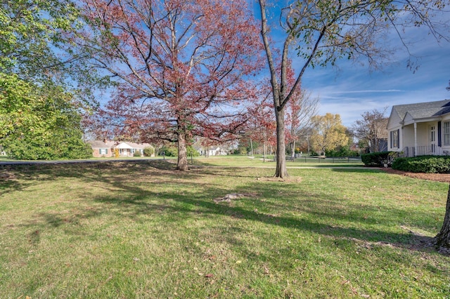 view of yard