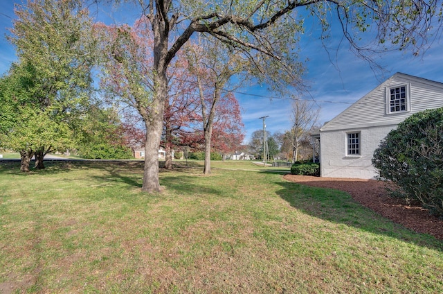 view of yard