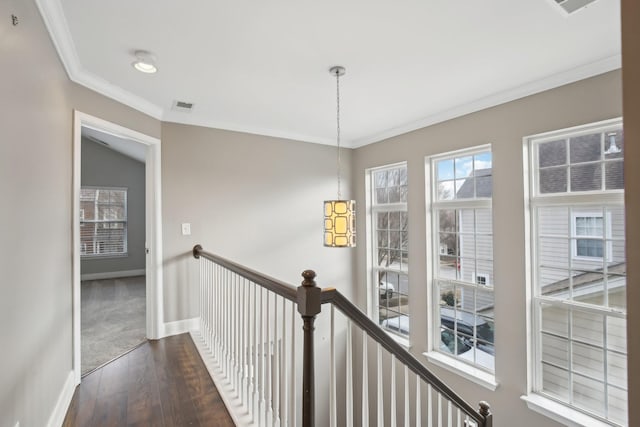 corridor featuring dark hardwood / wood-style flooring and ornamental molding