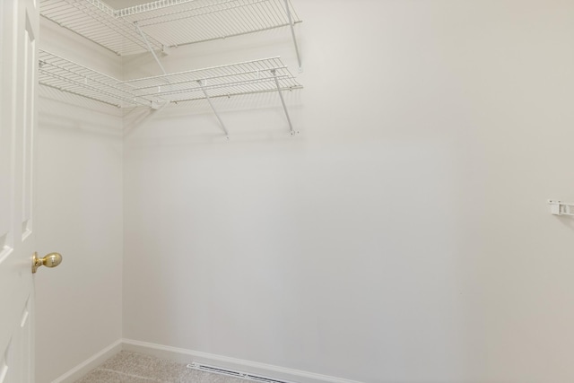 spacious closet featuring carpet flooring