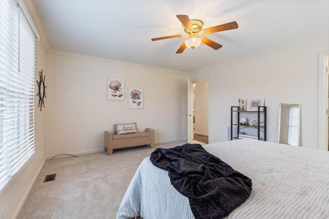 carpeted bedroom with multiple windows, ceiling fan, and crown molding