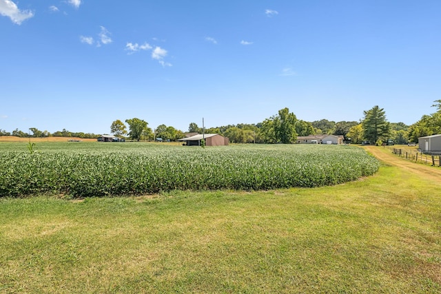 view of yard featuring a rural view