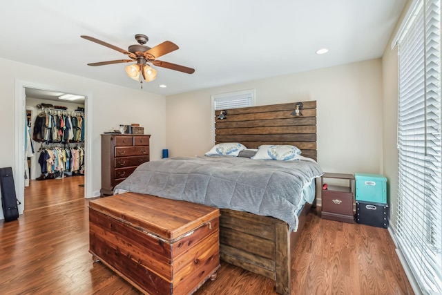 bedroom with a walk in closet, ceiling fan, a closet, and dark hardwood / wood-style floors