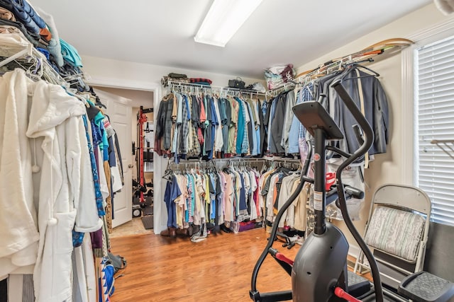 walk in closet with hardwood / wood-style flooring