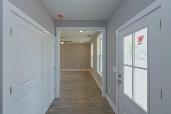 hall with hardwood / wood-style flooring