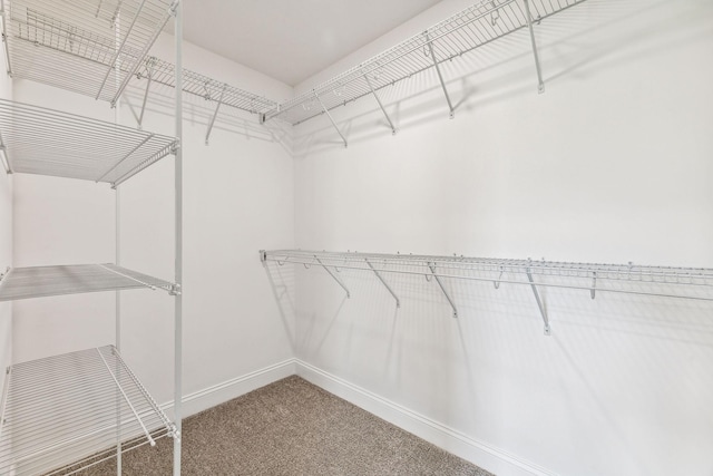 spacious closet with light carpet