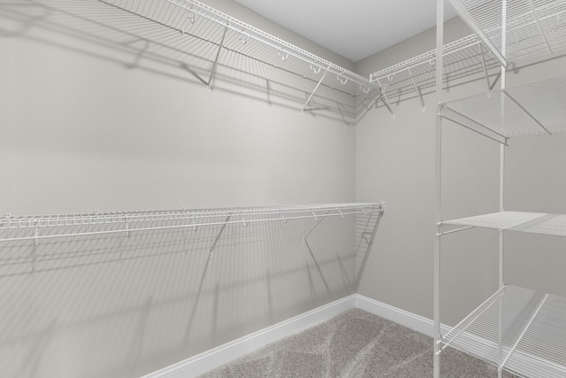 130 Anderson Pl, Clarksville, TN 37042 - walk in closet featuring carpet flooring