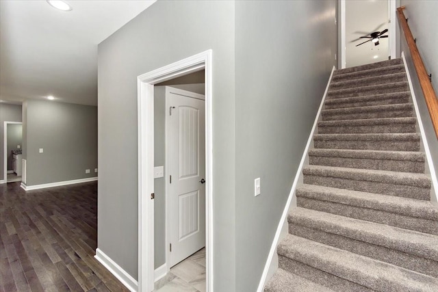 staircase featuring ceiling fan and hardwood / wood-style floors