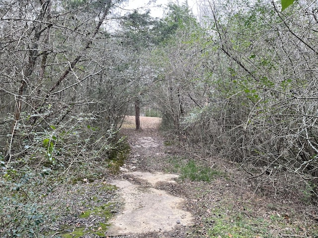 view of landscape