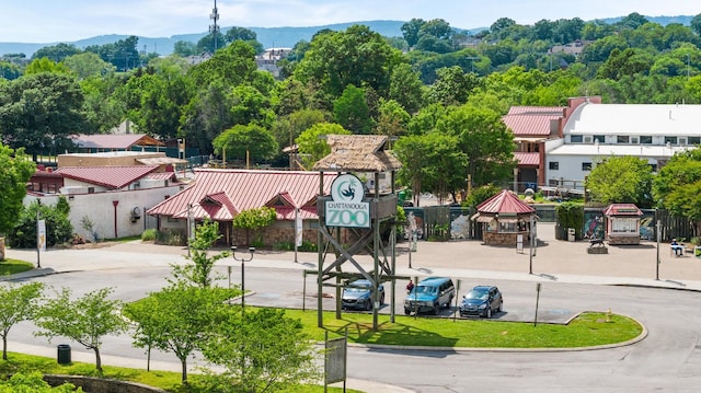 view of home's community featuring a mountain view