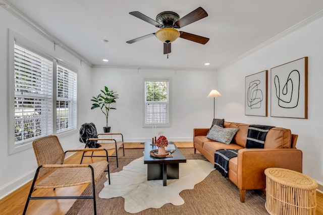 living room featuring ceiling fan, light hardwood / wood-style floors, and ornamental molding