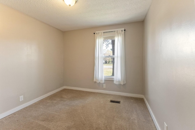 empty room with carpet flooring and a textured ceiling