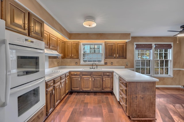 kitchen featuring dark hardwood / wood-style floors, white appliances, sink, and a wealth of natural light