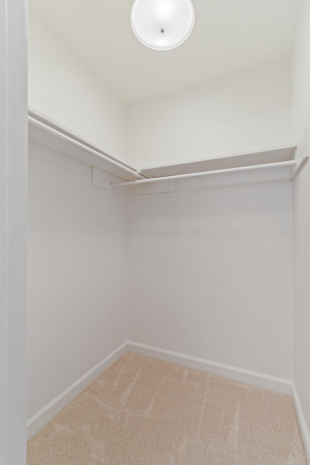 spacious closet with carpet flooring