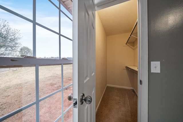 spacious closet with carpet