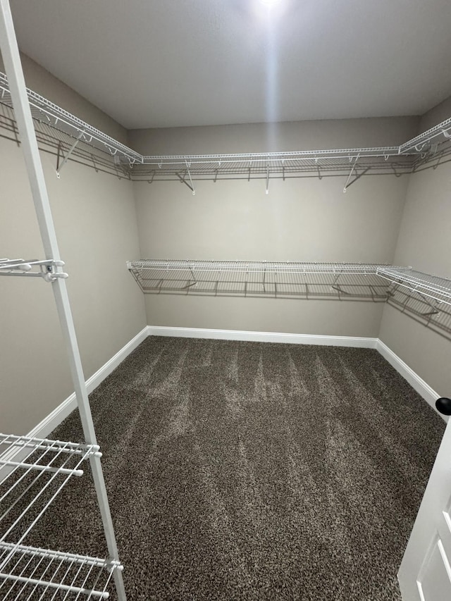 169 Anderson Pl, Clarksville, TN 37040 - spacious closet with carpet