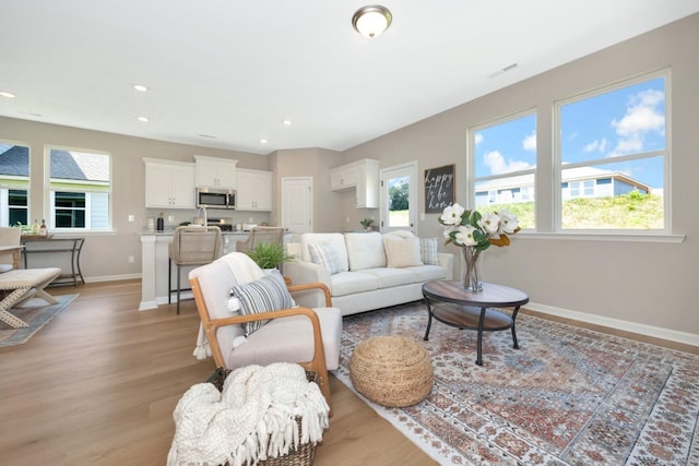 living room featuring light hardwood / wood-style floors