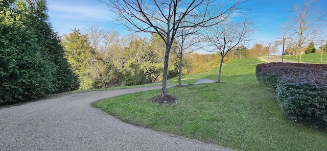 view of community featuring a yard