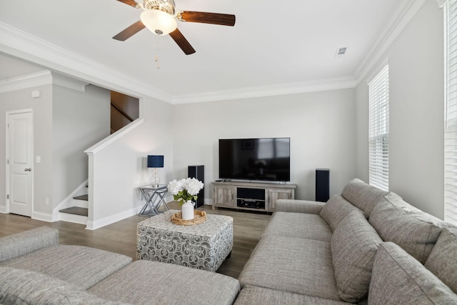 living room featuring ceiling fan, ornamental molding, and dark wood-type flooring