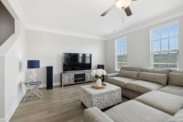 living room with ceiling fan, hardwood / wood-style floors, and ornamental molding