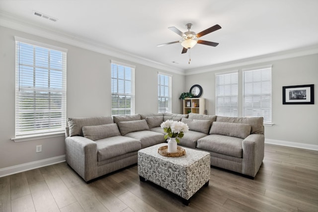 living room with a wealth of natural light, crown molding, ceiling fan, and dark wood-type flooring