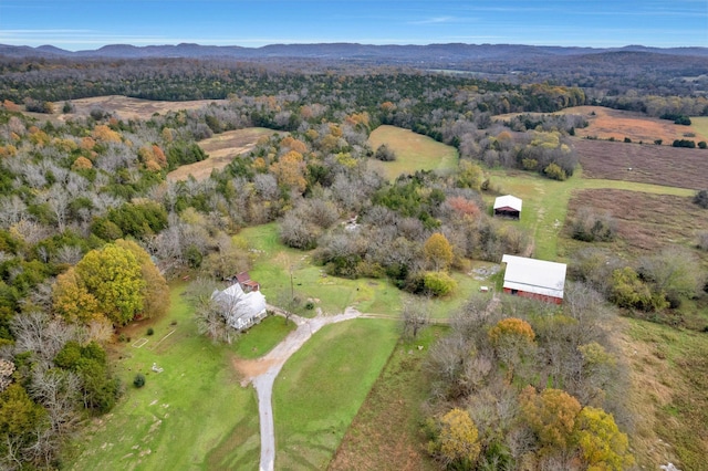 drone / aerial view with a mountain view