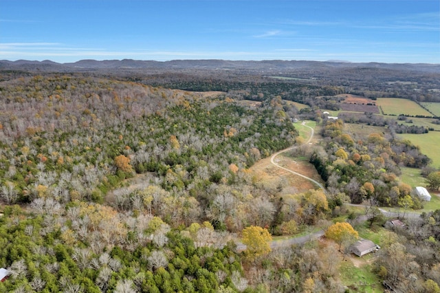 drone / aerial view featuring a mountain view