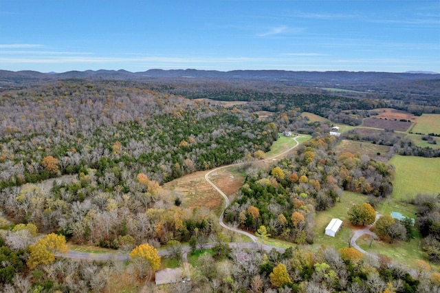 aerial view with a mountain view