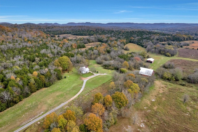 aerial view with a mountain view