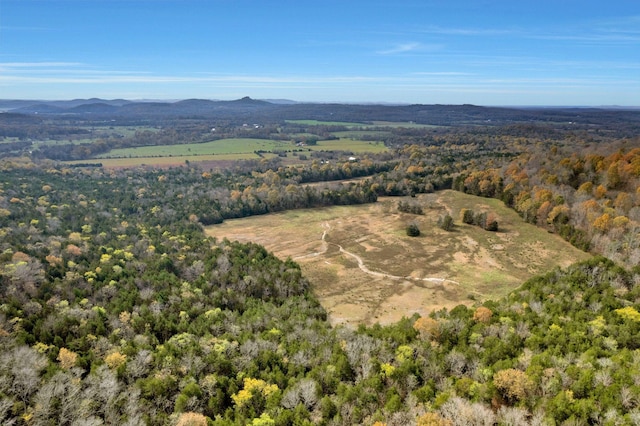 bird's eye view with a mountain view