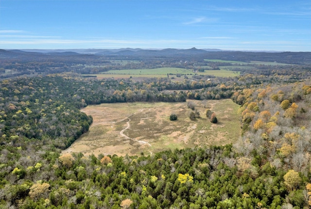 bird's eye view with a mountain view