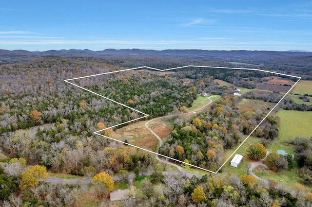 drone / aerial view with a mountain view