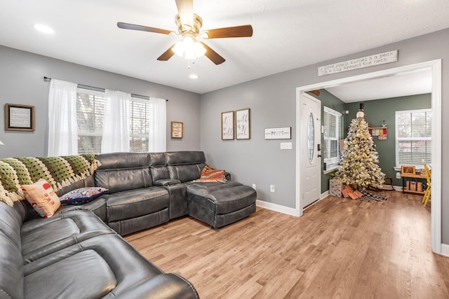 living room with a wealth of natural light, light hardwood / wood-style flooring, and ceiling fan