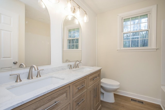 bathroom featuring vanity, toilet, and wood-type flooring