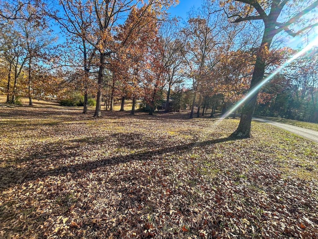 0 Reese Dr, Eva, TN 38333
