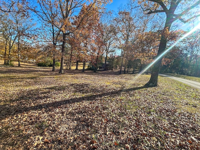 0 Reese Dr, Eva, TN 38333