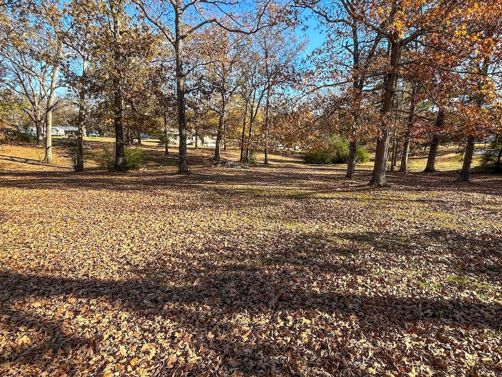 0 Reese Dr, Eva, TN 38333