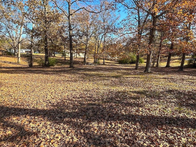 0 Reese Dr, Eva, TN 38333
